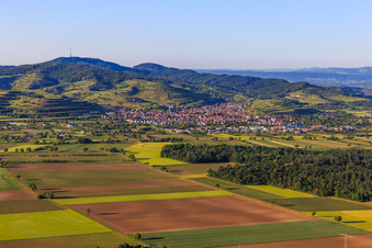 Vue aérienne de Village viticole sur le Kaiserstuhl vu du sud à Ihringen dans le département Bade-Wurtemberg, Allemagne