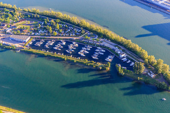 Vue aérienne de Port de plaisance - Fuchs Hafen - Marina sur l'Île du Rhin : Port de plaisance du Nautic Club Ile Du Rhin sur le Rhin à Biesheim dans le département Haut-Rhin, France