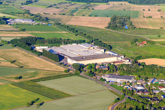 Vue aérienne de Cave à vin Baden eG à Breisach am Rhein dans le département Bade-Wurtemberg, Allemagne