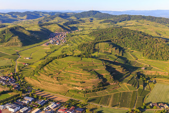 Vue aérienne de Vignobles du Kaiserstuhl vus de l'ouest à le quartier Achkarren in Vogtsburg im Kaiserstuhl dans le département Bade-Wurtemberg, Allemagne
