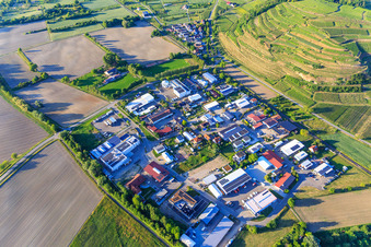 Vue aérienne de Zone commerciale Auf d. Haid à le quartier Achkarren in Vogtsburg im Kaiserstuhl dans le département Bade-Wurtemberg, Allemagne