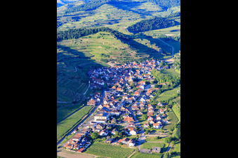 Vue aérienne de Village viticole du Kaiserstuhl vu du sud-ouest à le quartier Achkarren in Vogtsburg im Kaiserstuhl dans le département Bade-Wurtemberg, Allemagne