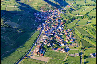 Photographie aérienne de Village viticole du Kaiserstuhl vu du sud-ouest à le quartier Achkarren in Vogtsburg im Kaiserstuhl dans le département Bade-Wurtemberg, Allemagne