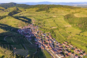Vue aérienne de Village viticole du Kaiserstuhl vu de l'ouest à le quartier Achkarren in Vogtsburg im Kaiserstuhl dans le département Bade-Wurtemberg, Allemagne