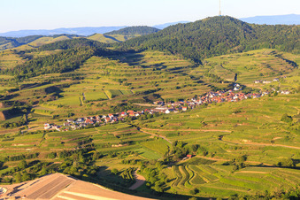 Vue aérienne de Village viticole du Kaiserstuhl vu de l'ouest à le quartier Bickensohl in Vogtsburg im Kaiserstuhl dans le département Bade-Wurtemberg, Allemagne