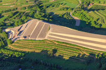 Vue aérienne de Chantier de réaménagement du vignoble en terrasses à le quartier Bickensohl in Vogtsburg im Kaiserstuhl dans le département Bade-Wurtemberg, Allemagne