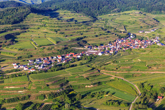 Vue aérienne de Village viticole du Kaiserstuhl vu de l'ouest à le quartier Bickensohl in Vogtsburg im Kaiserstuhl dans le département Bade-Wurtemberg, Allemagne