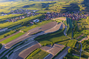Vue aérienne de Chantier de réaménagement de vignobles en terrasses à le quartier Oberrotweil in Vogtsburg im Kaiserstuhl dans le département Bade-Wurtemberg, Allemagne