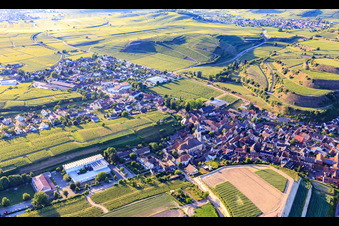Vue aérienne de Eisentalstraße avec l'église Saint-Jean-Baptiste et l'école Wilhelm Hildenbrand à le quartier Oberrotweil in Vogtsburg im Kaiserstuhl dans le département Bade-Wurtemberg, Allemagne