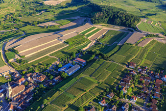 Photographie aérienne de Chantier de réaménagement de vignobles en terrasses à le quartier Oberrotweil in Vogtsburg im Kaiserstuhl dans le département Bade-Wurtemberg, Allemagne