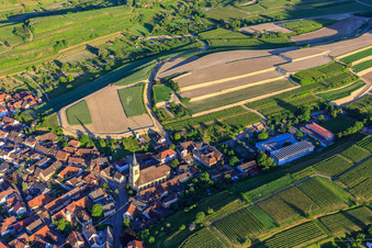 Vue oblique de Chantier de réaménagement de vignobles en terrasses à le quartier Oberrotweil in Vogtsburg im Kaiserstuhl dans le département Bade-Wurtemberg, Allemagne