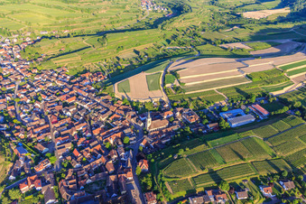 Chantier de réaménagement de vignobles en terrasses à le quartier Oberrotweil in Vogtsburg im Kaiserstuhl dans le département Bade-Wurtemberg, Allemagne d'en haut