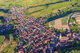 Vue aérienne de Village viticole du Kaiserstuhl vu de l'ouest à le quartier Oberrotweil in Vogtsburg im Kaiserstuhl dans le département Bade-Wurtemberg, Allemagne