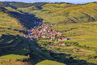 Vue aérienne de Village viticole du Kaiserstuhl vu de l'ouest à le quartier Oberrotweil in Vogtsburg im Kaiserstuhl dans le département Bade-Wurtemberg, Allemagne