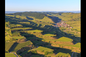 Vue aérienne de Vignobles en terrasses du Kaiserstuhl vus de l'ouest à le quartier Oberrotweil in Vogtsburg im Kaiserstuhl dans le département Bade-Wurtemberg, Allemagne
