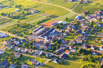 Vue aérienne de Domaine viticole Bischoffinger Winzer eG au court de tennis et salle des fêtes Bischoffingen à le quartier Bischoffingen in Vogtsburg im Kaiserstuhl dans le département Bade-Wurtemberg, Allemagne