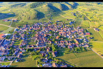Vue aérienne de Village viticole du Kaiserstuhl vu du sud à le quartier Bischoffingen in Vogtsburg im Kaiserstuhl dans le département Bade-Wurtemberg, Allemagne