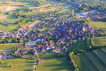 Vue aérienne de Vue d'ensemble du village depuis le nord à le quartier Burkheim in Vogtsburg im Kaiserstuhl dans le département Bade-Wurtemberg, Allemagne
