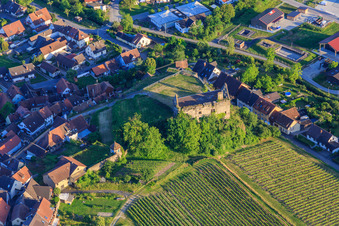 Vue aérienne de Ruines du château Burkheim au-dessus du vignoble à le quartier Burkheim in Vogtsburg im Kaiserstuhl dans le département Bade-Wurtemberg, Allemagne