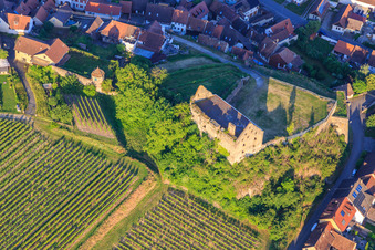Vue aérienne de Ruines du château Burkheim au-dessus du vignoble à le quartier Burkheim in Vogtsburg im Kaiserstuhl dans le département Bade-Wurtemberg, Allemagne
