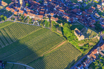 Photographie aérienne de Ruines du château Burkheim au-dessus du vignoble à le quartier Burkheim in Vogtsburg im Kaiserstuhl dans le département Bade-Wurtemberg, Allemagne