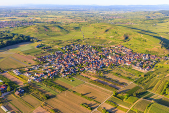 Vue aérienne de Vue d'ensemble du village depuis le sud à le quartier Jechtingen in Sasbach am Kaiserstuhl dans le département Bade-Wurtemberg, Allemagne