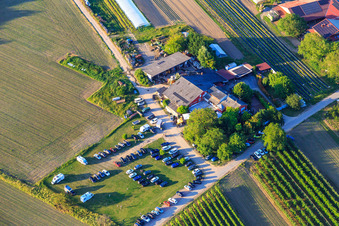 Vue aérienne de Restaurant Les Autruches de Gerhart à le quartier Jechtingen in Sasbach am Kaiserstuhl dans le département Bade-Wurtemberg, Allemagne