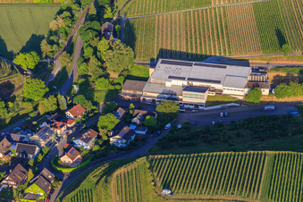 Vue aérienne de Jechtinger Weinmanufaktur eG à le quartier Jechtingen in Sasbach am Kaiserstuhl dans le département Bade-Wurtemberg, Allemagne