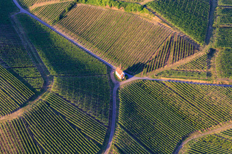 Vue aérienne de Chapelle Eichert au milieu des vignes à le quartier Jechtingen in Sasbach am Kaiserstuhl dans le département Bade-Wurtemberg, Allemagne