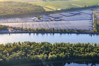 Vue aérienne de Zone industrielle et portuaire avec entrepôt de voitures CEVA Logistics ombragé par des systèmes photovoltaïques à Marckolsheim dans le département Bas Rhin, France