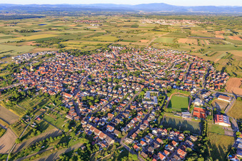 Vue aérienne de Vue de la ville depuis l'ouest à Wyhl am Kaiserstuhl dans le département Bade-Wurtemberg, Allemagne