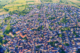 Vue aérienne de Vue d'ensemble de la ville depuis le nord-ouest à Wyhl am Kaiserstuhl dans le département Bade-Wurtemberg, Allemagne