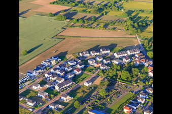 Vue aérienne de Nouvelle zone de développement Wellinger Straße à Wyhl am Kaiserstuhl dans le département Bade-Wurtemberg, Allemagne