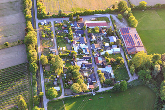 Vue aérienne de Terrains du club des Amis du tir à l'arc de Wyhl eV, du Club d'élevage de petits animaux de Wyhl et du Club des amoureux des chiens à Wyhl am Kaiserstuhl dans le département Bade-Wurtemberg, Allemagne