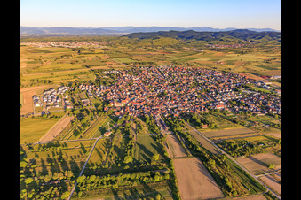 Vue aérienne de Vue de la ville depuis l'ouest à Wyhl am Kaiserstuhl dans le département Bade-Wurtemberg, Allemagne