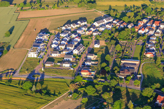 Vue aérienne de Nouvelle zone de développement Wellinger Straße à Wyhl am Kaiserstuhl dans le département Bade-Wurtemberg, Allemagne