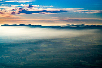 Vue aérienne de La forêt du Palatinat dans la brume de novembre à Bad Bergzabern dans le département Rhénanie-Palatinat, Allemagne