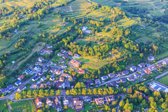 Vue aérienne de Dans Häldele à Kippenheim dans le département Bade-Wurtemberg, Allemagne