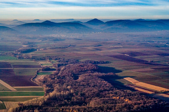 Vue aérienne de De Horbachtal à Haardtrand à le quartier Gleiszellen in Gleiszellen-Gleishorbach dans le département Rhénanie-Palatinat, Allemagne