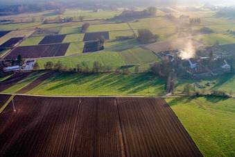 Moulin Schaidter à le quartier Schaidt in Wörth am Rhein dans le département Rhénanie-Palatinat, Allemagne depuis l'avion