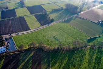 Vue aérienne de Prairie au moulin Schaidter à le quartier Schaidt in Wörth am Rhein dans le département Rhénanie-Palatinat, Allemagne