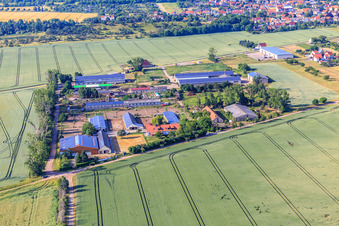 Vue aérienne de Buchenhof Ballenstedt à le quartier Rieder in Ballenstedt dans le département Saxe-Anhalt, Allemagne