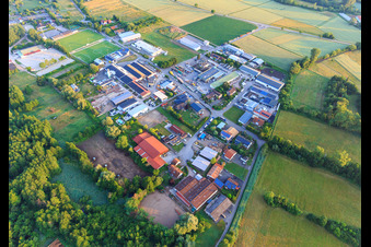 Vue aérienne de Zone industrielle Industriestraße avec l'Union Bauzentrum Hornbach Billigheim, le centre équestre Petra Egalite et les chevaux de sport Hasche à Billigheim-Ingenheim dans le département Rhénanie-Palatinat, Allemagne