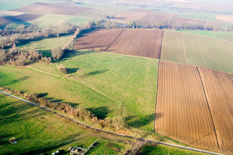 Vue aérienne de Pâturage à vaches au-dessus du moulin Schaidter à Freckenfeld dans le département Rhénanie-Palatinat, Allemagne