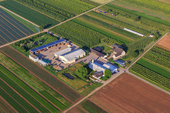 Jardin du fermier à Winden dans le département Rhénanie-Palatinat, Allemagne du point de vue du drone