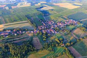 Photographie aérienne de Vue du village depuis le nord à Hergersweiler dans le département Rhénanie-Palatinat, Allemagne