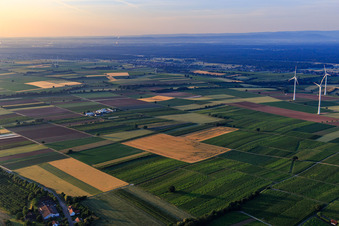 Jardin du fermier à Winden dans le département Rhénanie-Palatinat, Allemagne d'un drone
