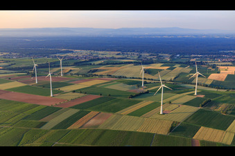Vue aérienne de Parc éolien Freckenfeld vu du nord à Freckenfeld dans le département Rhénanie-Palatinat, Allemagne