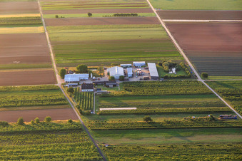 Jardin du fermier à Winden dans le département Rhénanie-Palatinat, Allemagne vu d'un drone