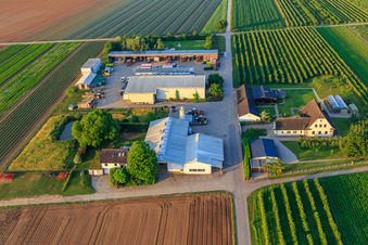 Vue oblique de Jardin du fermier à Winden dans le département Rhénanie-Palatinat, Allemagne